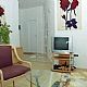Villa Palme image 6