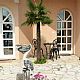 Villa Palme image 23