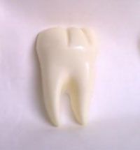 ALPE ADRIA Dental Simposyum