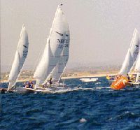 The sailboat regata "Homo si bordižat"