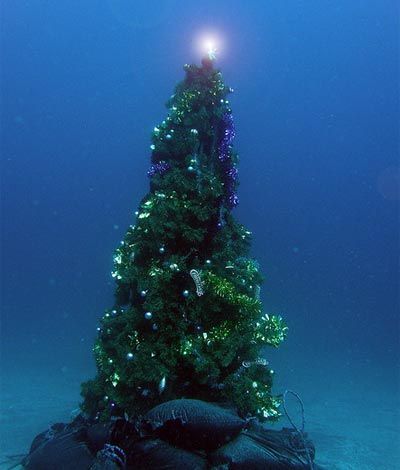 Christmas tree under the sea