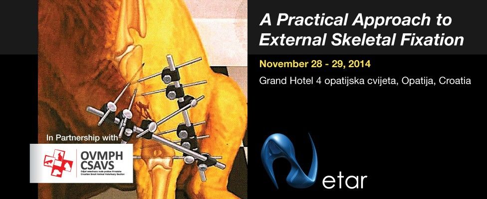 Veterinary Surgery - A Practical Approach to External Skeletal Fixation
