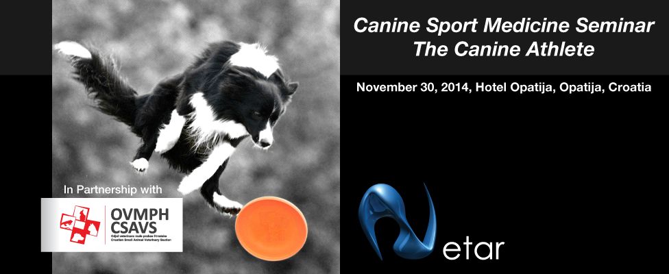 Canine Sport Medicine Seminar