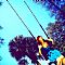 SWING INTO THE SPRING 