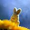 EASTER 2010.