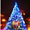 JOYFUL CHRISTMAS