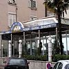 Galeb