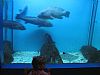 CITY AQUARIUM IN OPATIJA