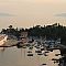 The Port